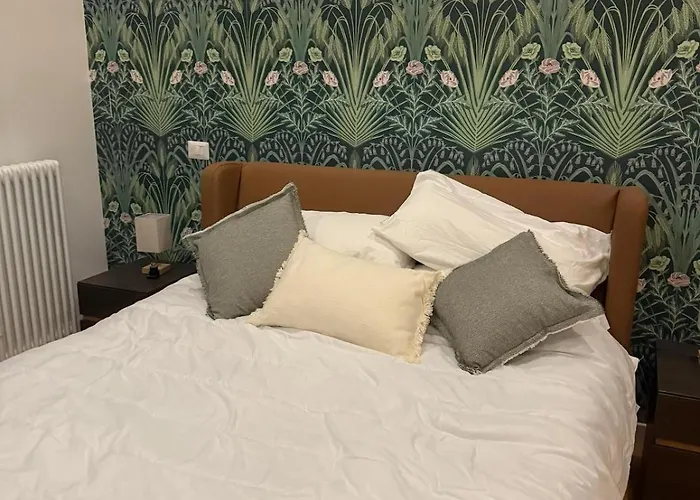 Monti Cozy